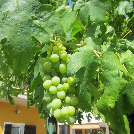 Agriturismo La Carlina Villa Magliano in Toscana Bagian luar foto