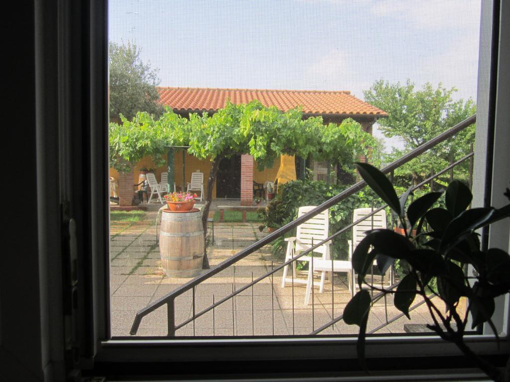 Agriturismo La Carlina Villa Magliano in Toscana Bagian luar foto