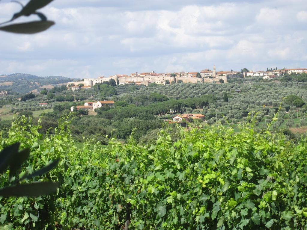 Agriturismo La Carlina Villa Magliano in Toscana Bagian luar foto