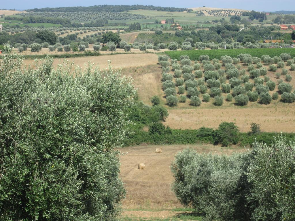 Agriturismo La Carlina Villa Magliano in Toscana Bagian luar foto