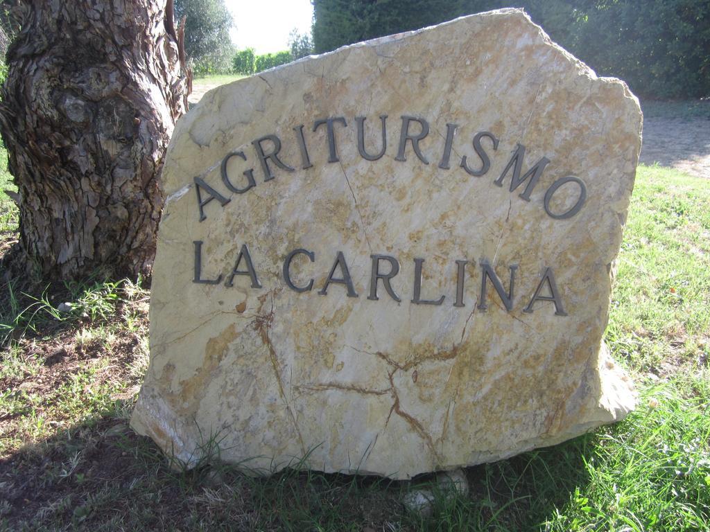 Agriturismo La Carlina Villa Magliano in Toscana Bagian luar foto