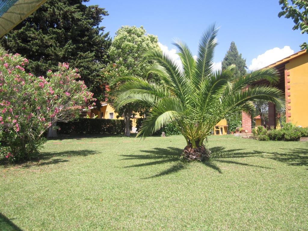 Agriturismo La Carlina Villa Magliano in Toscana Bagian luar foto