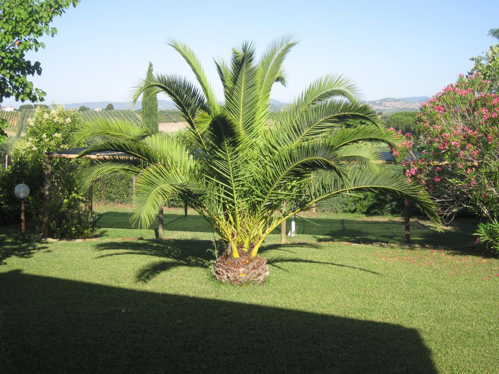 Agriturismo La Carlina Villa Magliano in Toscana Bagian luar foto