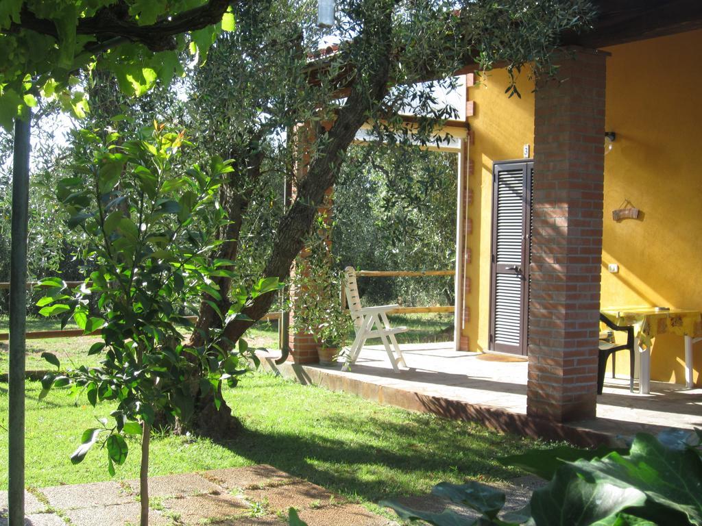 Agriturismo La Carlina Villa Magliano in Toscana Ruang foto