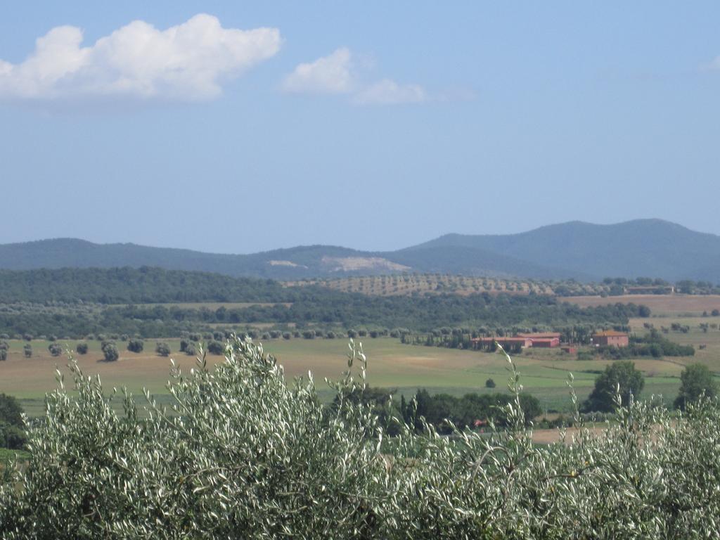 Agriturismo La Carlina Villa Magliano in Toscana Bagian luar foto